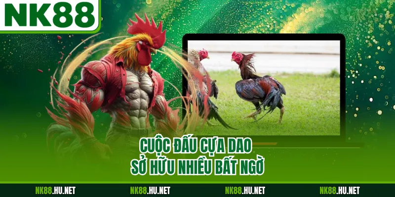Cuộc đấu cựa dao sở hữu nhiều bất ngờ