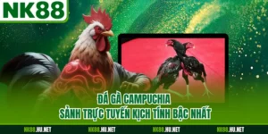 Đá Gà Campuchia - Sảnh Trực Tuyến Kịch Tính Bậc Nhất