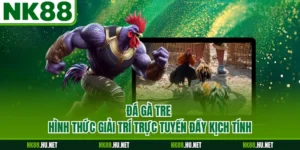 Đá Gà Tre - Hình Thức Giải Trí Trực Tuyến Đầy Kịch Tính