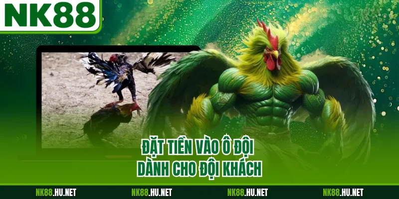 Đặt tiền vào ô đội dành cho đội khách