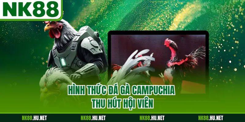 Hình thức đá gà Campuchia thu hút hội viên