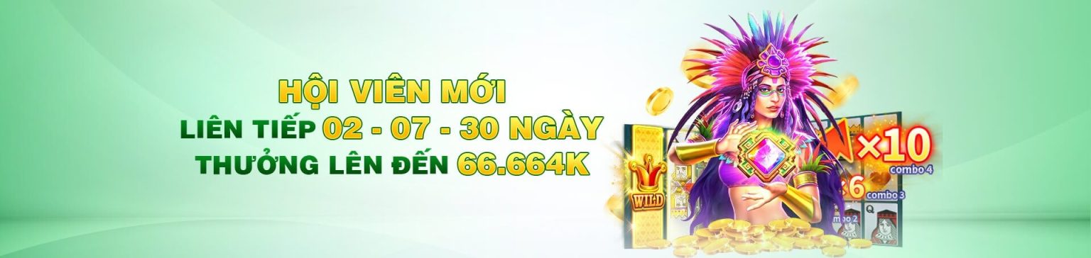 BANNER NK88 2