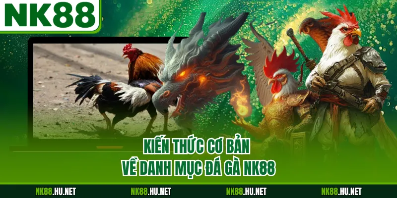 Kiến thức cơ bản về danh mục đá gà NK88