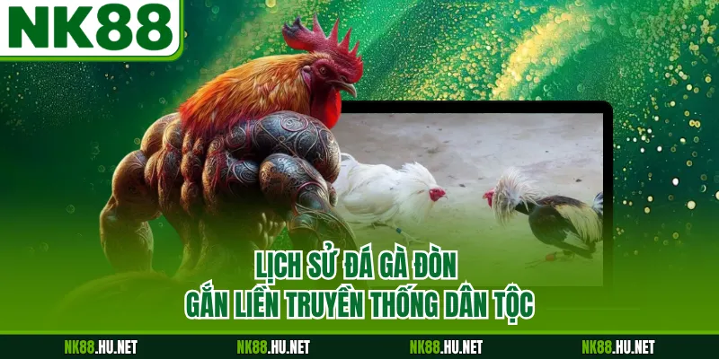Lịch sử đá gà đòn gắn liền truyền thống dân tộc