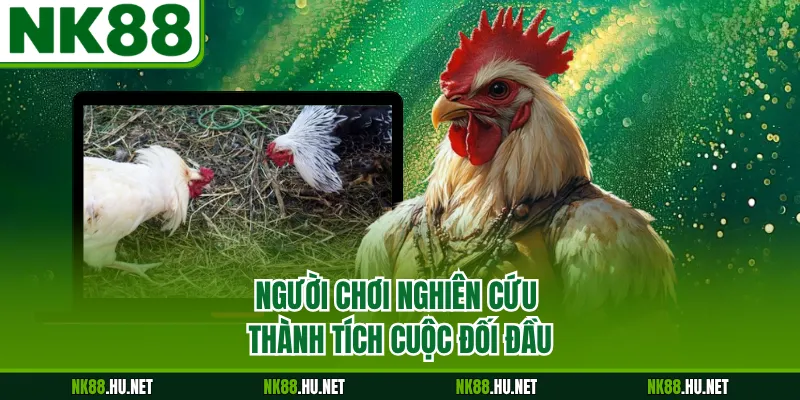 Người chơi nghiên cứu thành tích cuộc đối đầu