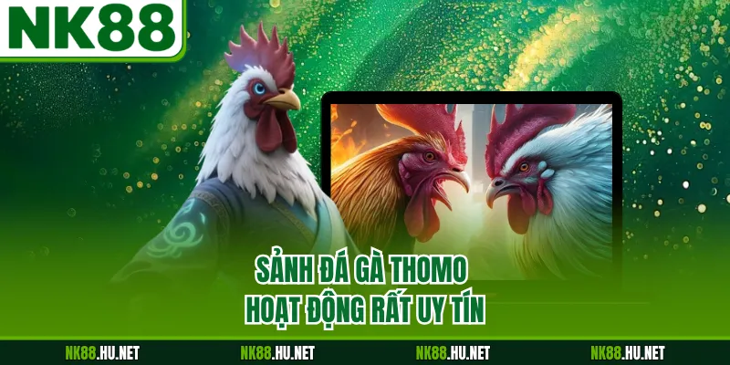 Đá Gà Thomo - Đấu Trường Trực Tuyến Kịch Tính Bậc Nhất 1 Sảnh đá gà Thomo hoạt động rất uy tín