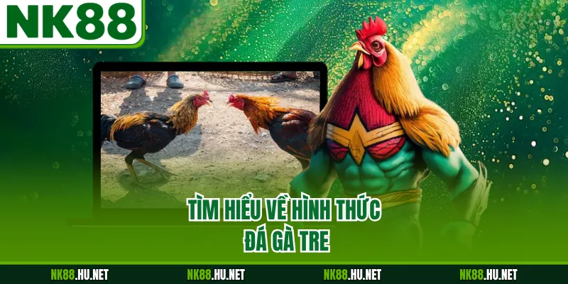 Tìm hiểu về hình thức đá gà tre