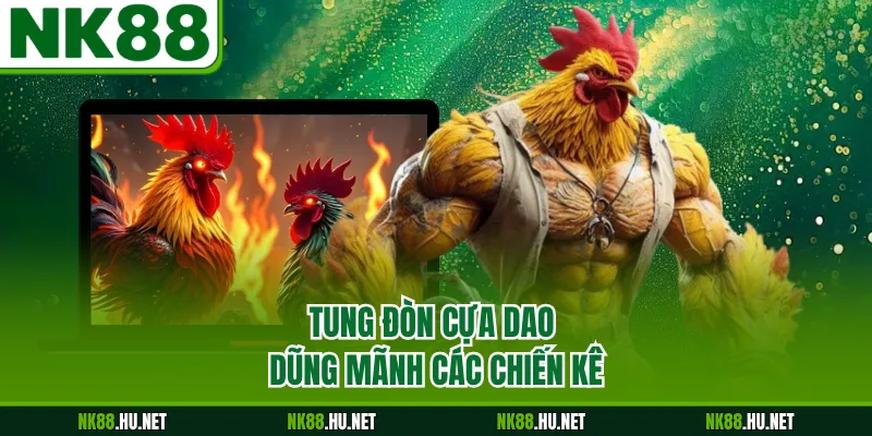 Đá Gà Thomo - Đấu Trường Trực Tuyến Kịch Tính Bậc Nhất 2 Tung đòn cựa dao dũng mãnh các chiến kê