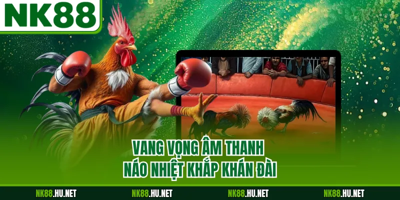 Đá Gà Thomo - Đấu Trường Trực Tuyến Kịch Tính Bậc Nhất 3 Vang vọng âm thanh náo nhiệt khắp khán đài